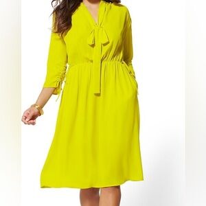 New York & Company Green Tie Front Sundress